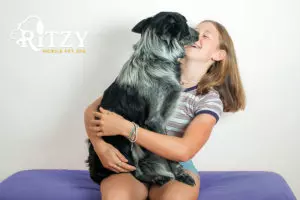 A Black Dog On A Young Girl Lap